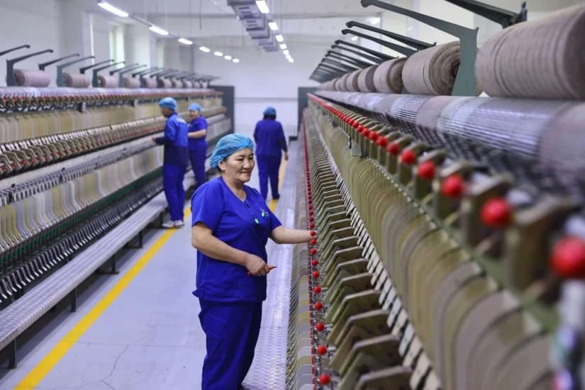 蒙古国“白金计划”下，中国羊绒产业的危与机