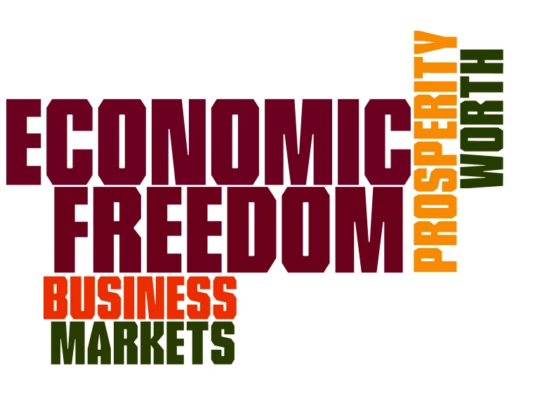 Эдийн засгийн эрх чөлөөг Венесуэль аргаар хийхгүйг мэднэ биз дээ