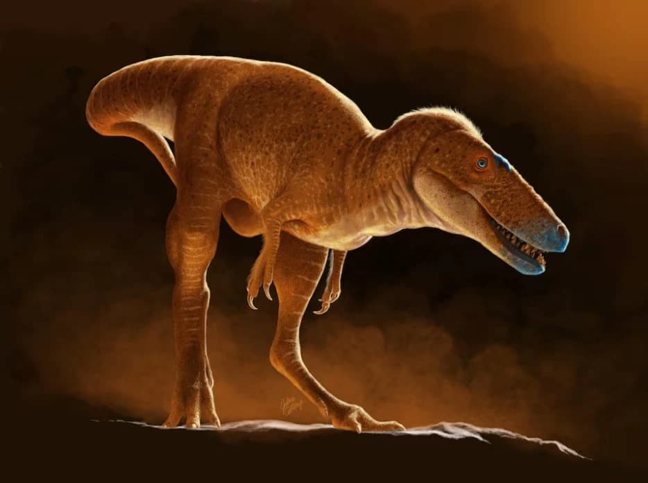 暴龙的祖先——“蒙古汗赫龙”（龙王子） 