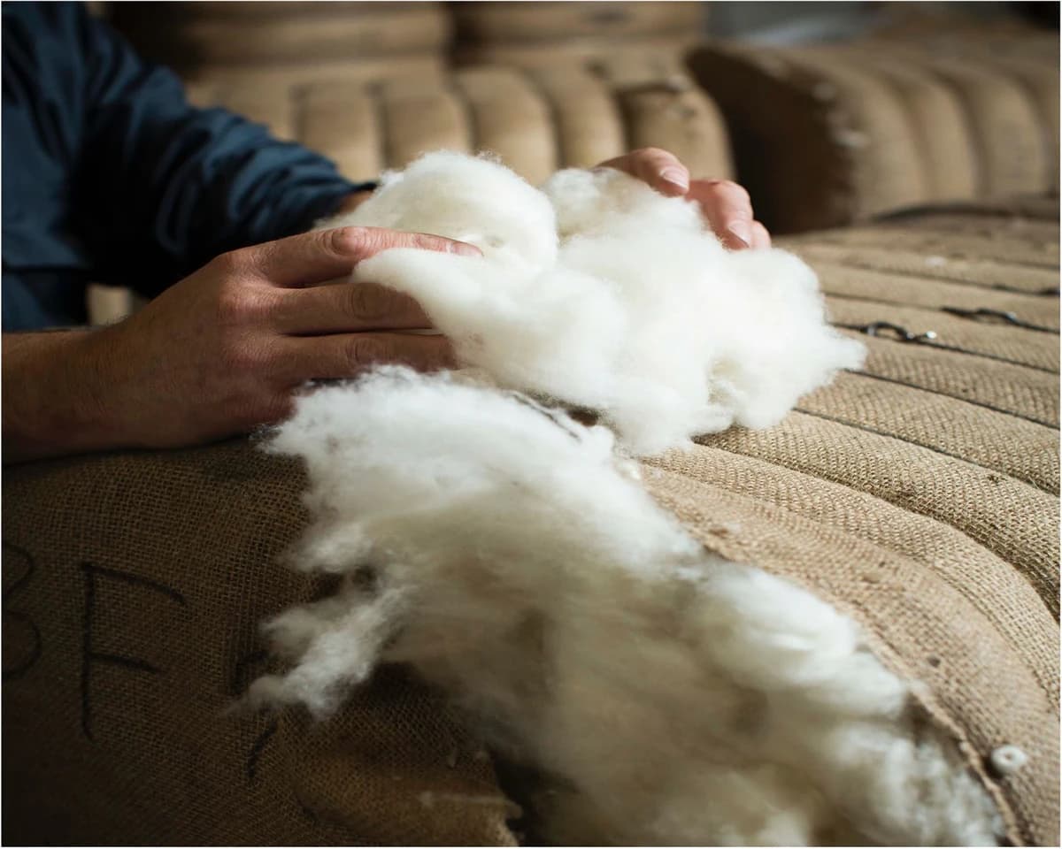 “白色黄金”计划实施后，无毛绒出口额达3.3亿美元