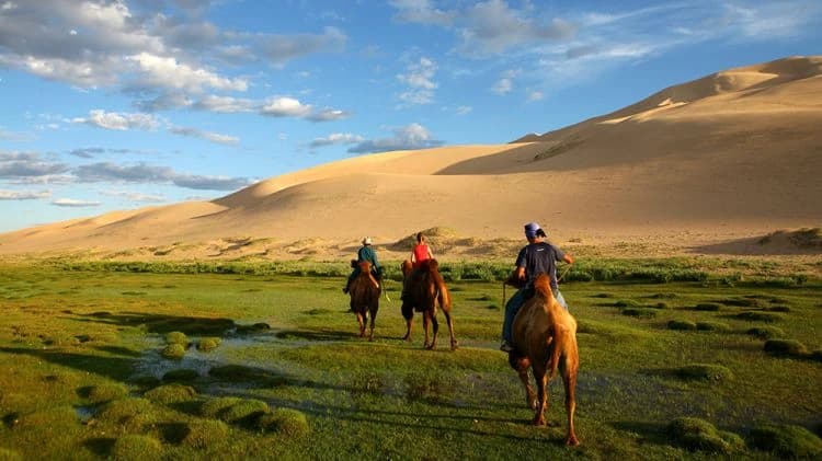 Өнгөнд хууртаж, үнэнд гашуудна