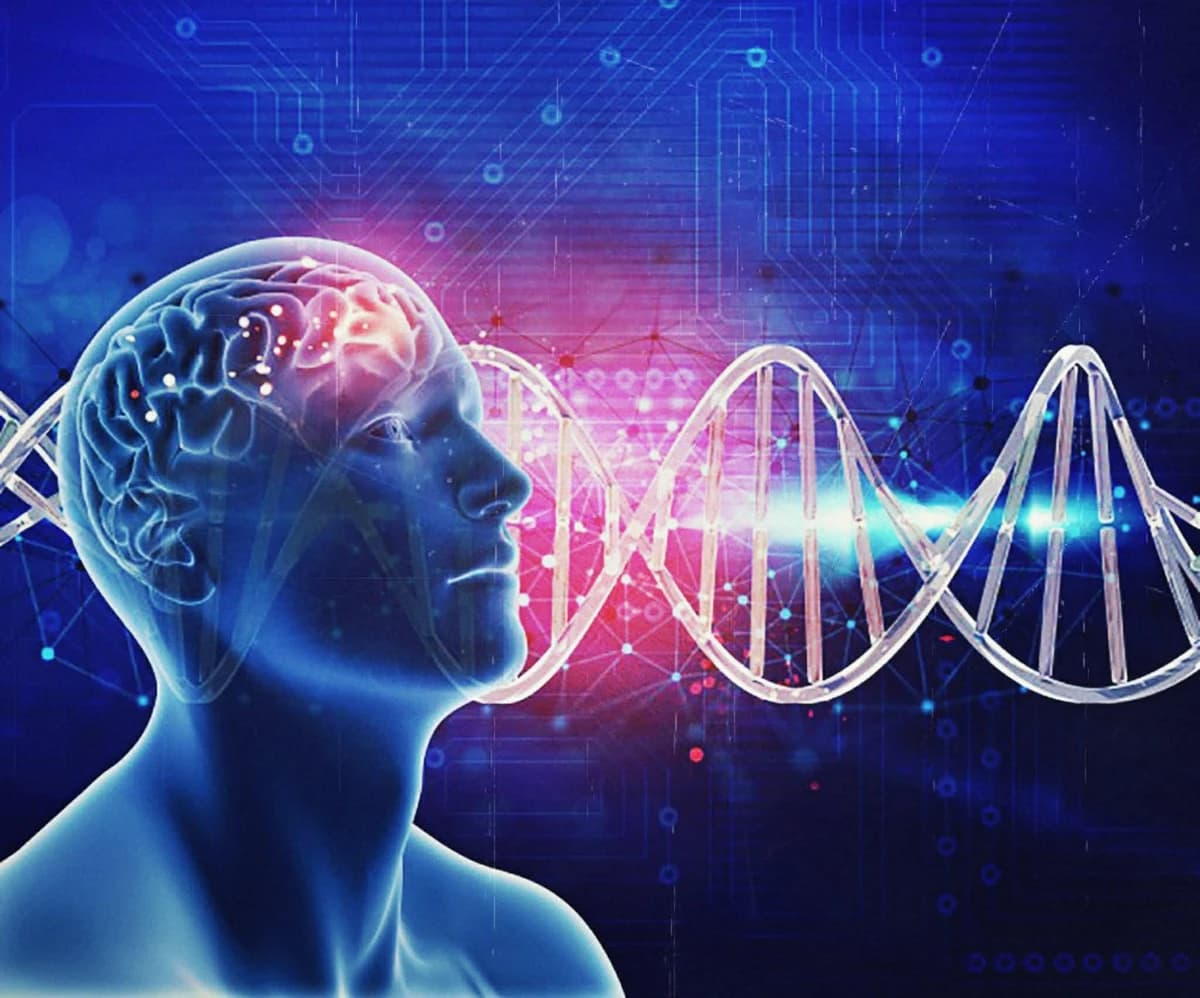 Хомо сапиенсийн холион бантан